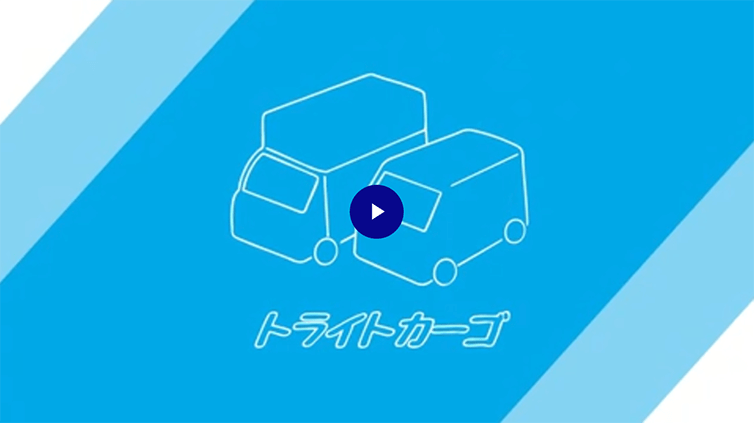動画